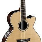 Parkwood Guitars PW570