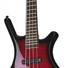 Warwick Corvette Standard SE Klangfarbe French Flamed Ash 4