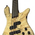 Streamer LX SE Station Music Buckeyed Burl 4