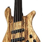 Warwick Streamer LX SE Musik Produktiv Ash Spalted Maple 5 Fretless