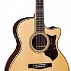 Martin GPC-42E Amazon Rosewood