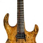 Sidewinder 6 Spalted Maple Top