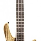 Sonus Custom 5