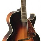 The Loar LH-350