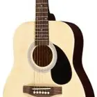 Johnson Guitars JG-608