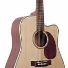 Johnson Guitars JD-06-CFE