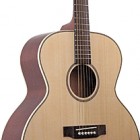 Johnson Guitars JJ-06