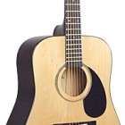 Johnson Guitars JG-615