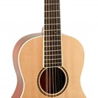 Johnson Guitars JG-TR12