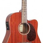 Johnson Guitars JG-D10-CFEN