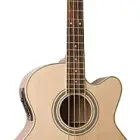 Johnson Guitars JB-24