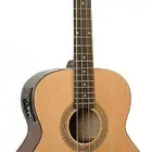Johnson Guitars JG-622