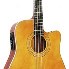 Johnson Guitars JG-702