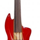 Thru-Neck 4 Fretless