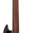 Thru-Neck 5 Fretless