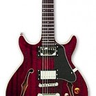 Silvertone Guitar Blues Master