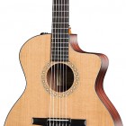 Taylor NS24ce-LTD