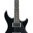 Ibanez DN300