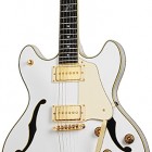 Schecter Robin Zander