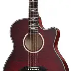 Schecter Omen Extreme Acoustic