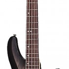 Schecter C-5 Custom