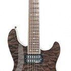 Fernandes Dragonfly Elite JP