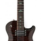 Paul Reed Smith SE Fredrik Akesson