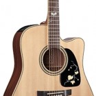 Takamine EG50TH Anniversary