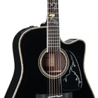 Takamine 2012 Limited Edition