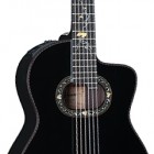 Takamine 2012C Limited Edition