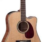 Takamine EG340DLX