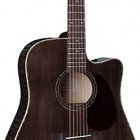 Takamine EG355SC-TB