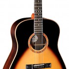 Titanic Guitars New York Dreadnought