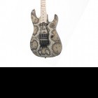 Warren Demartini Snakeskin