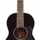 The Loar LO-216