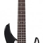 Perception 5 String Bass