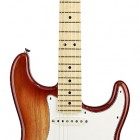 Sienna Sunburst Maple Fingerboard