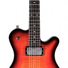 Framus Panthera Supreme