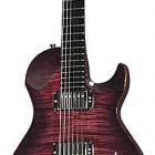 Vigier Guitars GV Wood