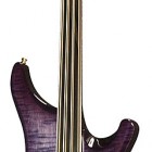 Arpege IV Fretless