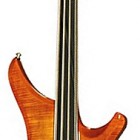 Passion IV Custom Fretless Delta Metal