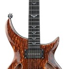 ZH-1 Brown Eyes