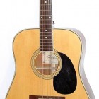 Peerless Guitars PD-50