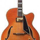 Peerless Guitars Jazz City