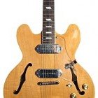 Peerless Guitars Songbird