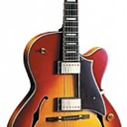 Peerless Guitars Sunset