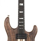 DC400W Claro Walnut Guitar