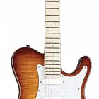 TLB60 Vintage Bolt Neck Guitar