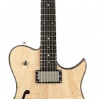 SH250 Semi-Hollow Electric Guitar