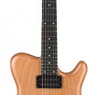 Allan Holdsworth Signature Series H2